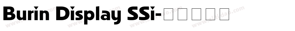 Burin Display SSi字体转换